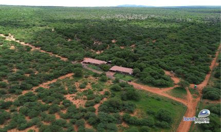 “PIETERMAN” LR - 428.266 Ha - Portion 1 of the Farm 445 - Marken , Limpopo