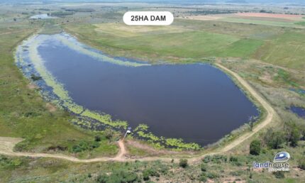“KOPPIEALLEEN” KR, 1665 Ha, Irrigation Farm, Alma, Limpopo