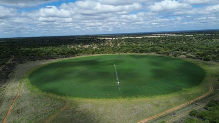 DCIM101MEDIADJI_0169