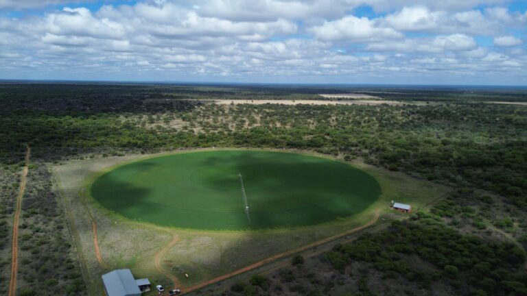 DCIM101MEDIADJI_0170