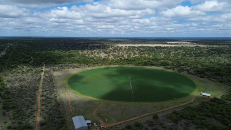 DCIM101MEDIADJI_0171