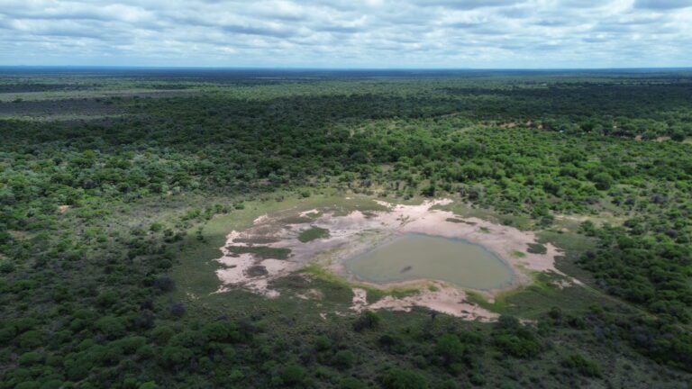 DCIM101MEDIADJI_0174