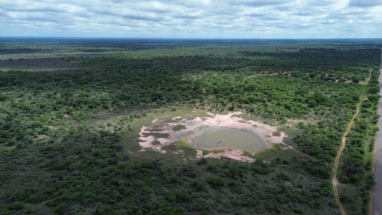 DCIM101MEDIADJI_0175