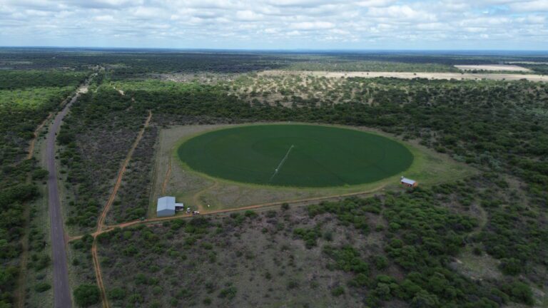 DCIM101MEDIADJI_0176