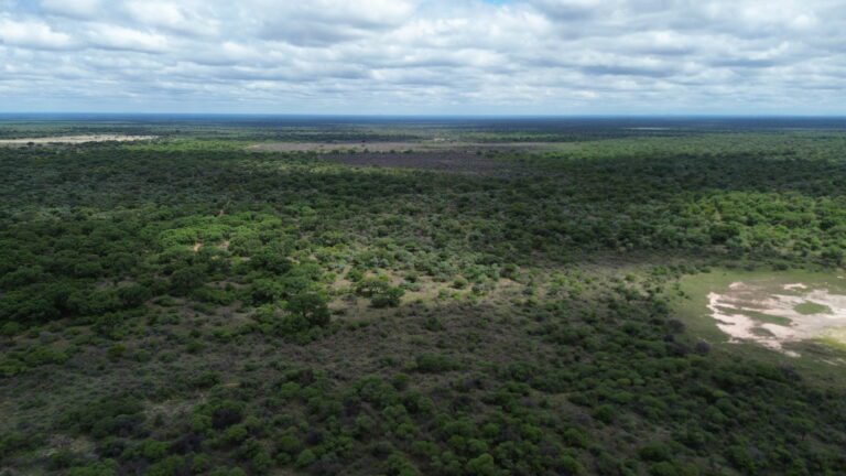 DCIM101MEDIADJI_0178