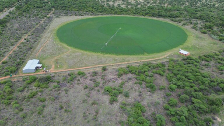 DCIM101MEDIADJI_0179