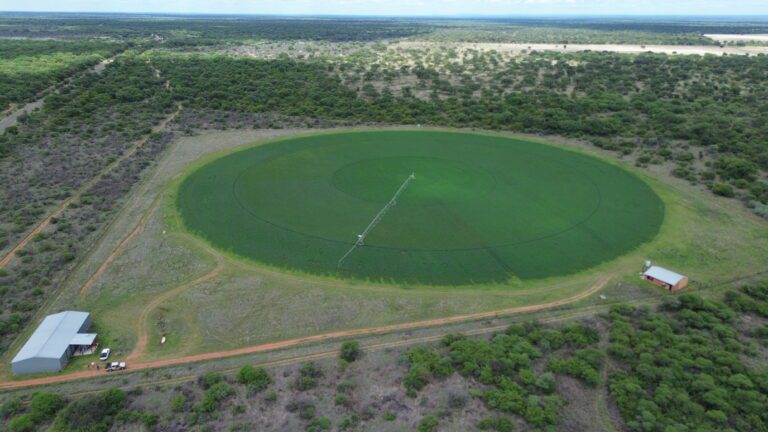 DCIM101MEDIADJI_0180