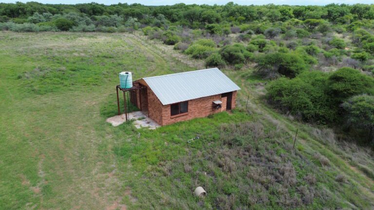 DCIM101MEDIADJI_0183