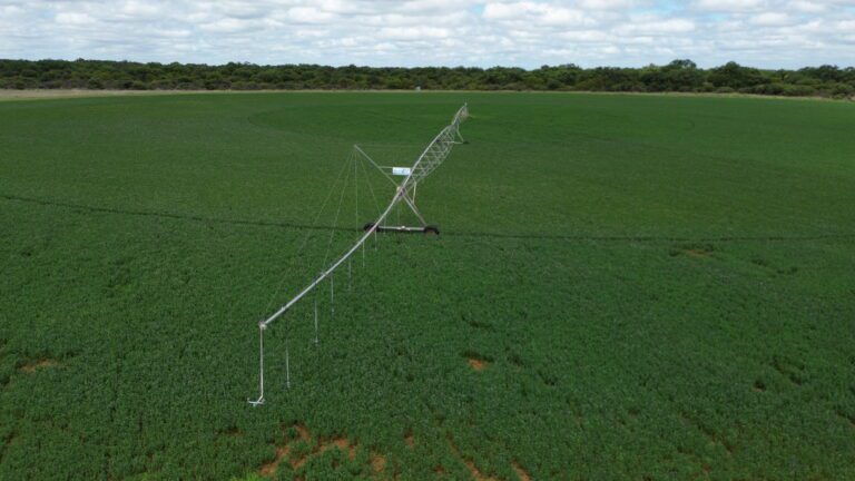 DCIM101MEDIADJI_0184