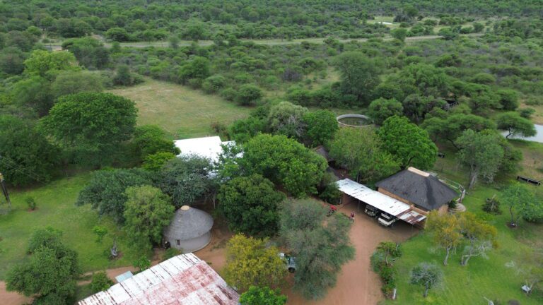 DCIM101MEDIADJI_0187