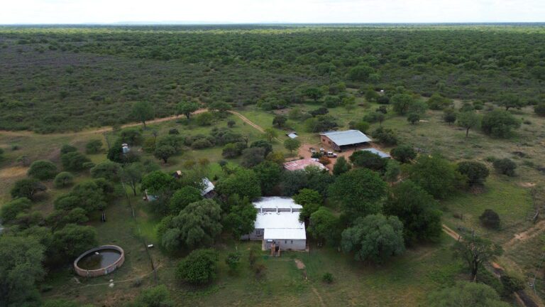 DCIM101MEDIADJI_0189