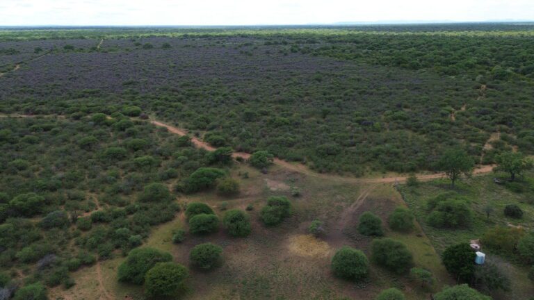 DCIM101MEDIADJI_0190