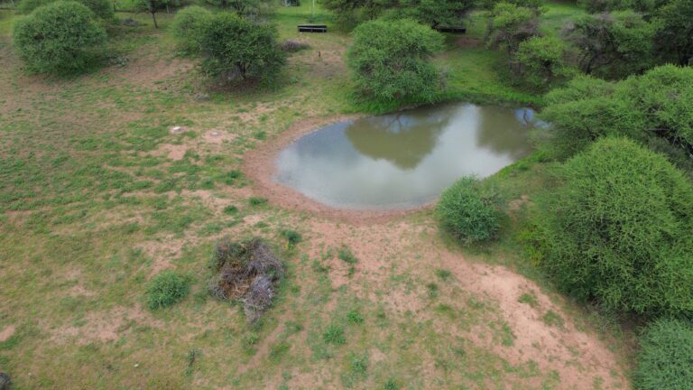 DCIM101MEDIADJI_0193