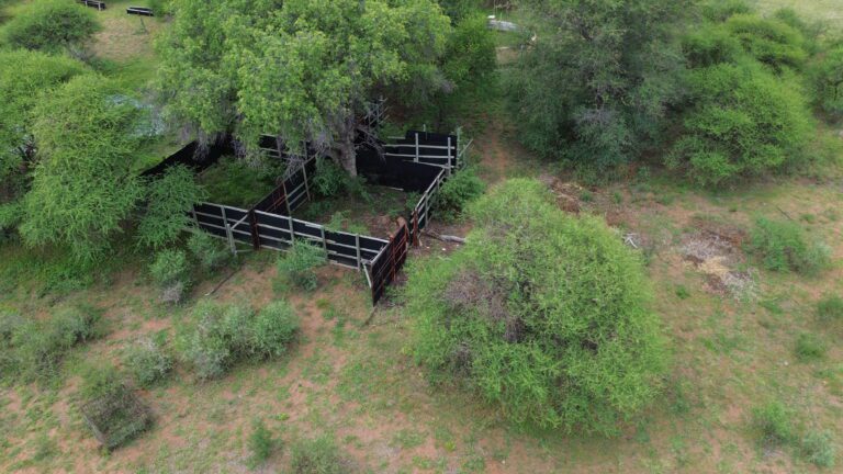 DCIM101MEDIADJI_0194