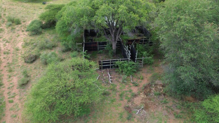 DCIM101MEDIADJI_0195