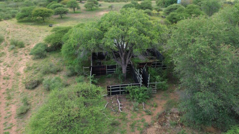 DCIM101MEDIADJI_0196