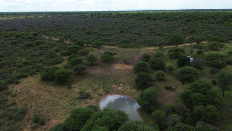 DCIM101MEDIADJI_0197