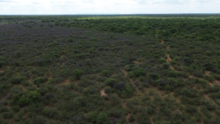 DCIM101MEDIADJI_0198