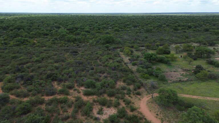 DCIM101MEDIADJI_0199