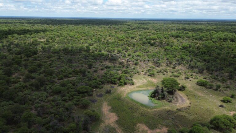 DCIM101MEDIADJI_0201