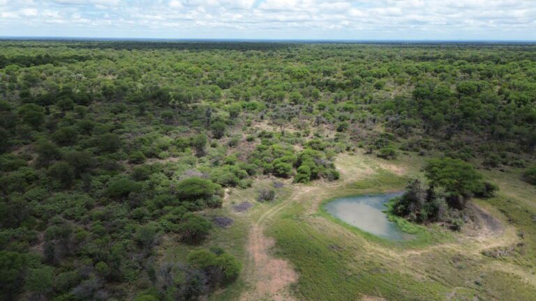 DCIM101MEDIADJI_0202