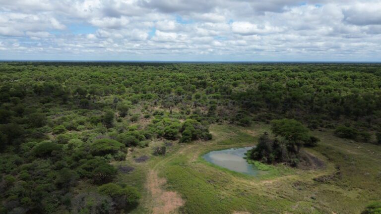 DCIM101MEDIADJI_0203