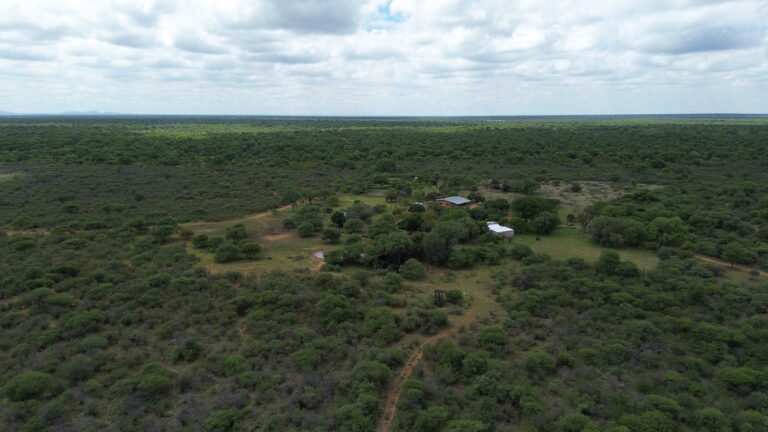 DCIM101MEDIADJI_0205