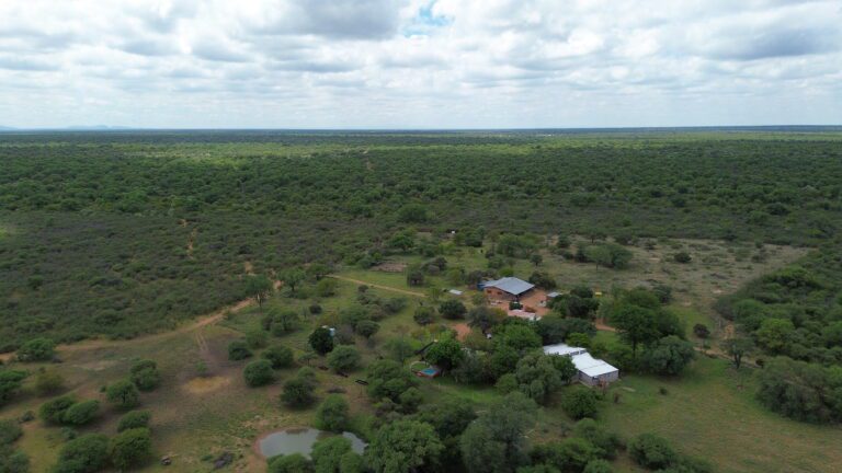 DCIM101MEDIADJI_0206