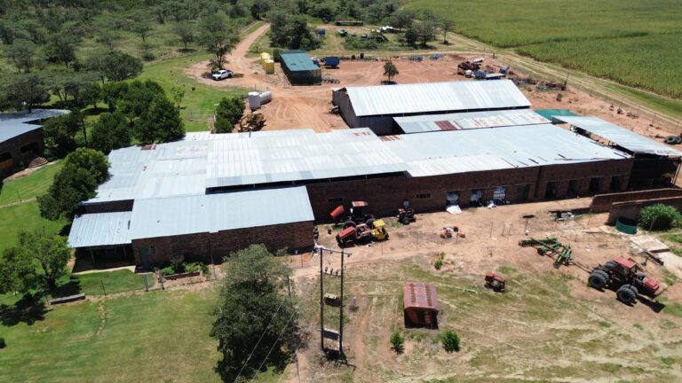 DCIM101MEDIADJI_0319