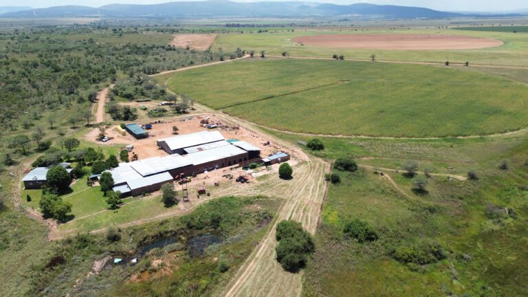 DCIM101MEDIADJI_0320