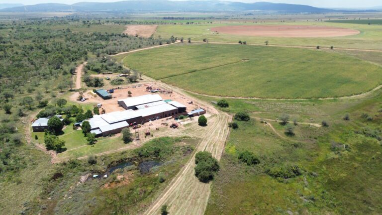 DCIM101MEDIADJI_0321