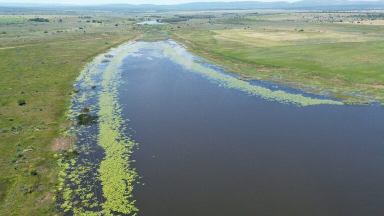 DCIM101MEDIADJI_0322