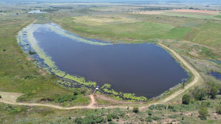 DCIM101MEDIADJI_0323