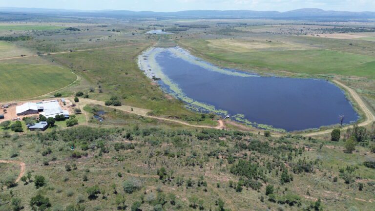 DCIM101MEDIADJI_0324