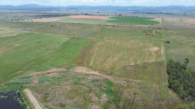 DCIM101MEDIADJI_0325