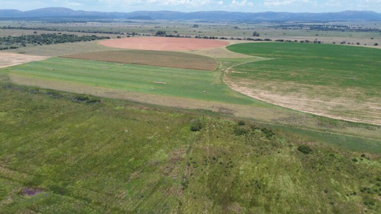 DCIM101MEDIADJI_0327