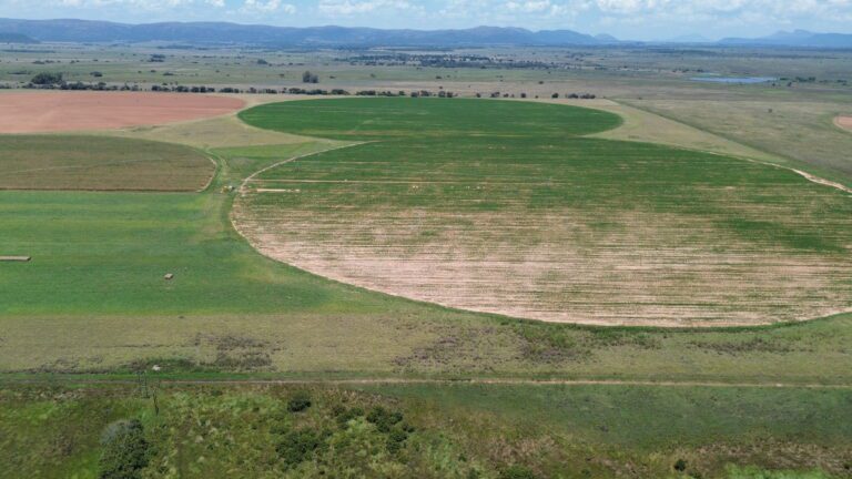 DCIM101MEDIADJI_0328