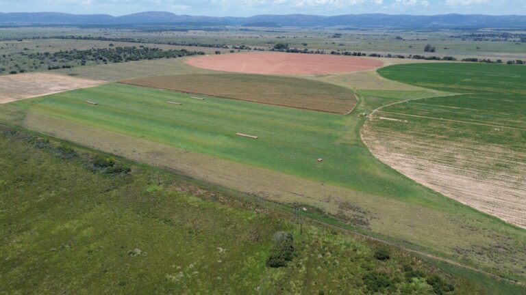 DCIM101MEDIADJI_0329