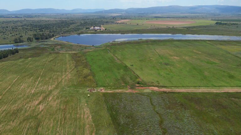 DCIM101MEDIADJI_0330