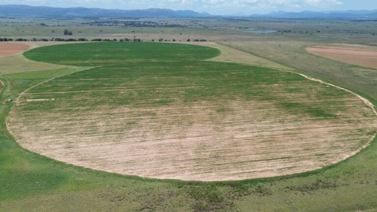 DCIM101MEDIADJI_0332