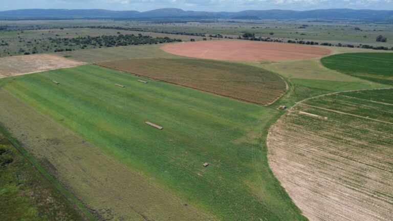 DCIM101MEDIADJI_0333