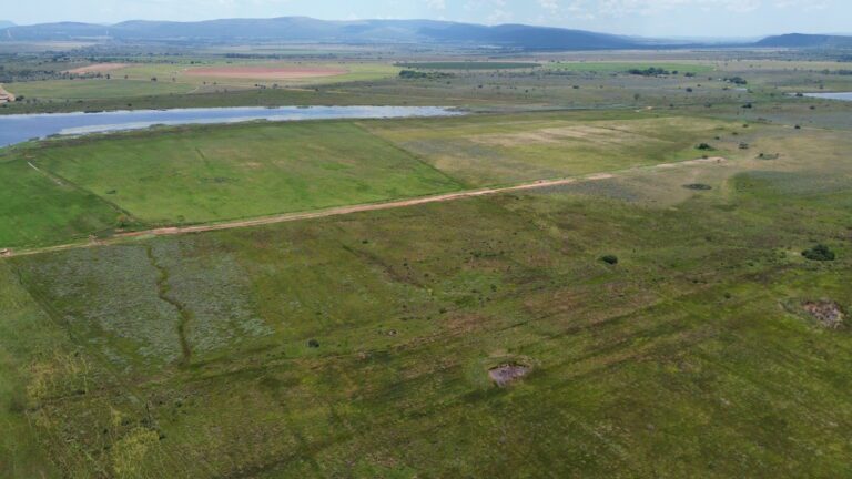 DCIM101MEDIADJI_0334