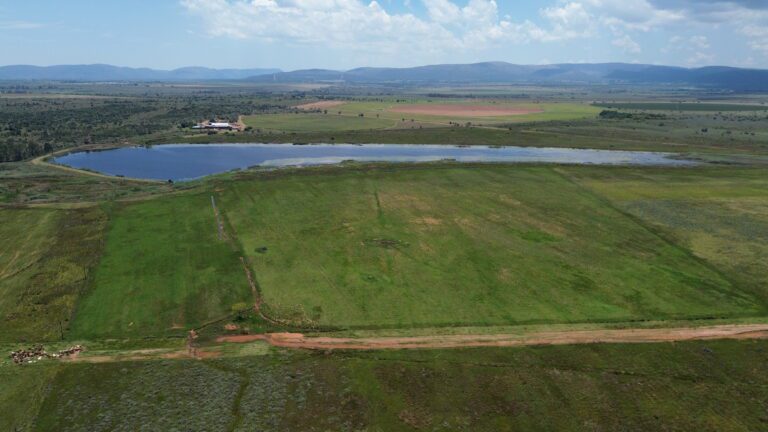 DCIM101MEDIADJI_0335