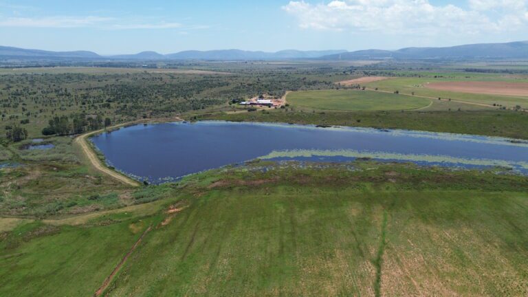 DCIM101MEDIADJI_0336