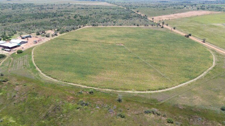 DCIM101MEDIADJI_0337