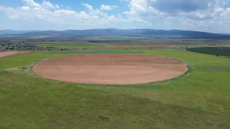 DCIM101MEDIADJI_0338