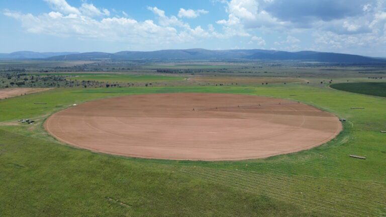 DCIM101MEDIADJI_0339