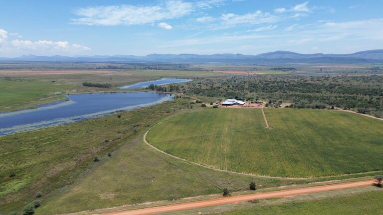 DCIM101MEDIADJI_0342