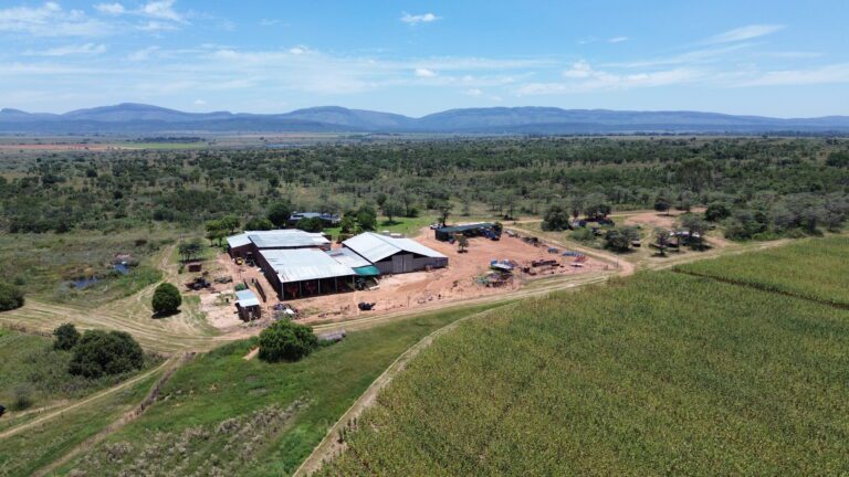 DCIM101MEDIADJI_0343