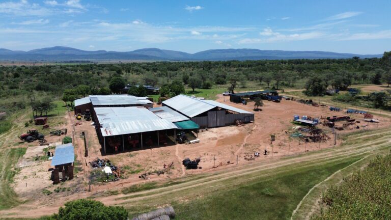 DCIM101MEDIADJI_0344